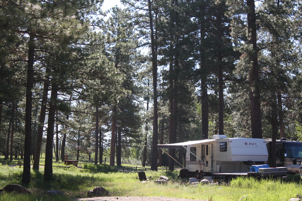 RVs parked in an open field, exposed to the weather that drives water damage