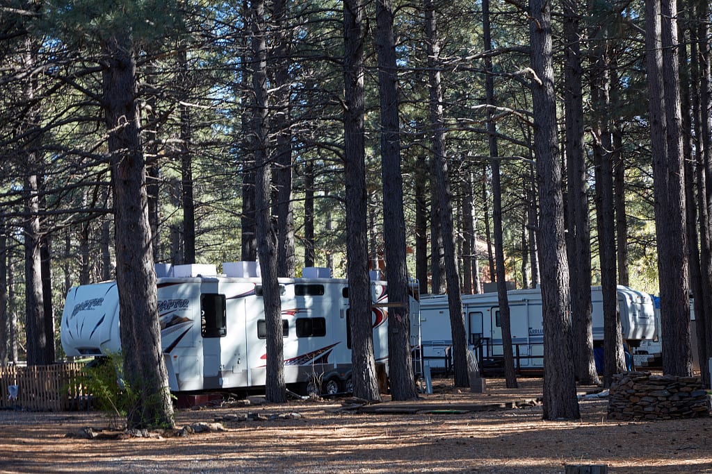 Travel trailers parked among pine trees at a campground