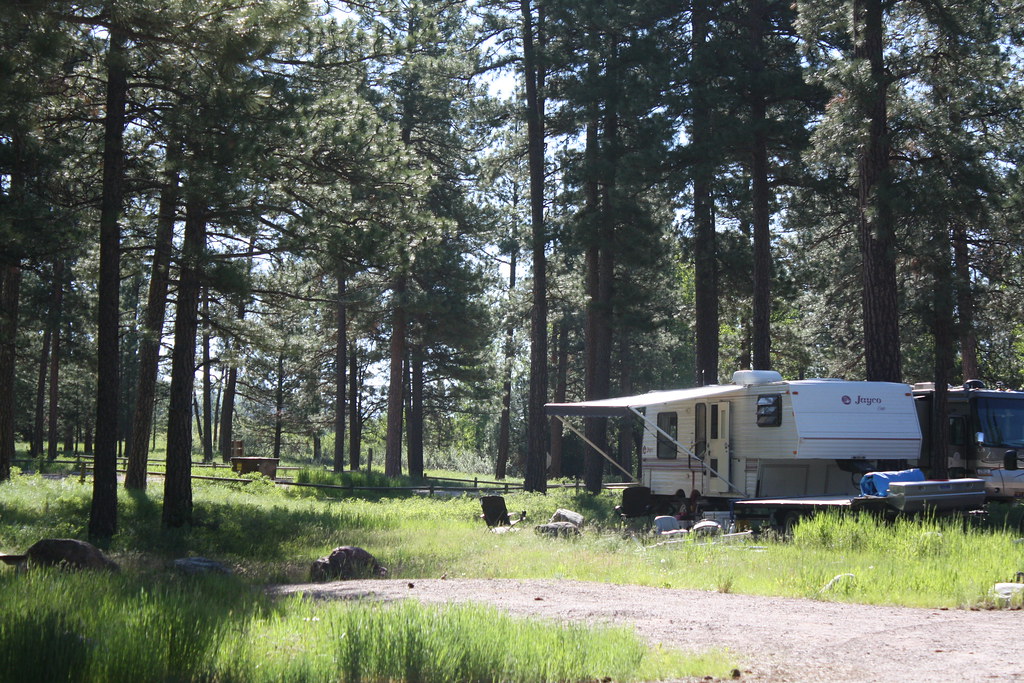 RVs parked at a wooded campground, the rigs an extended warranty is meant to protect
